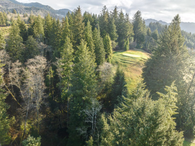 Donate to Tom Gienger Memorial Fund & Support the Mook at Alderbrook
