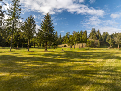 The Mook at Alderbrook Membership Preview and Booking Tee Time Info