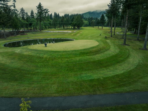 Hole 3 – Par 5 – HCP 11