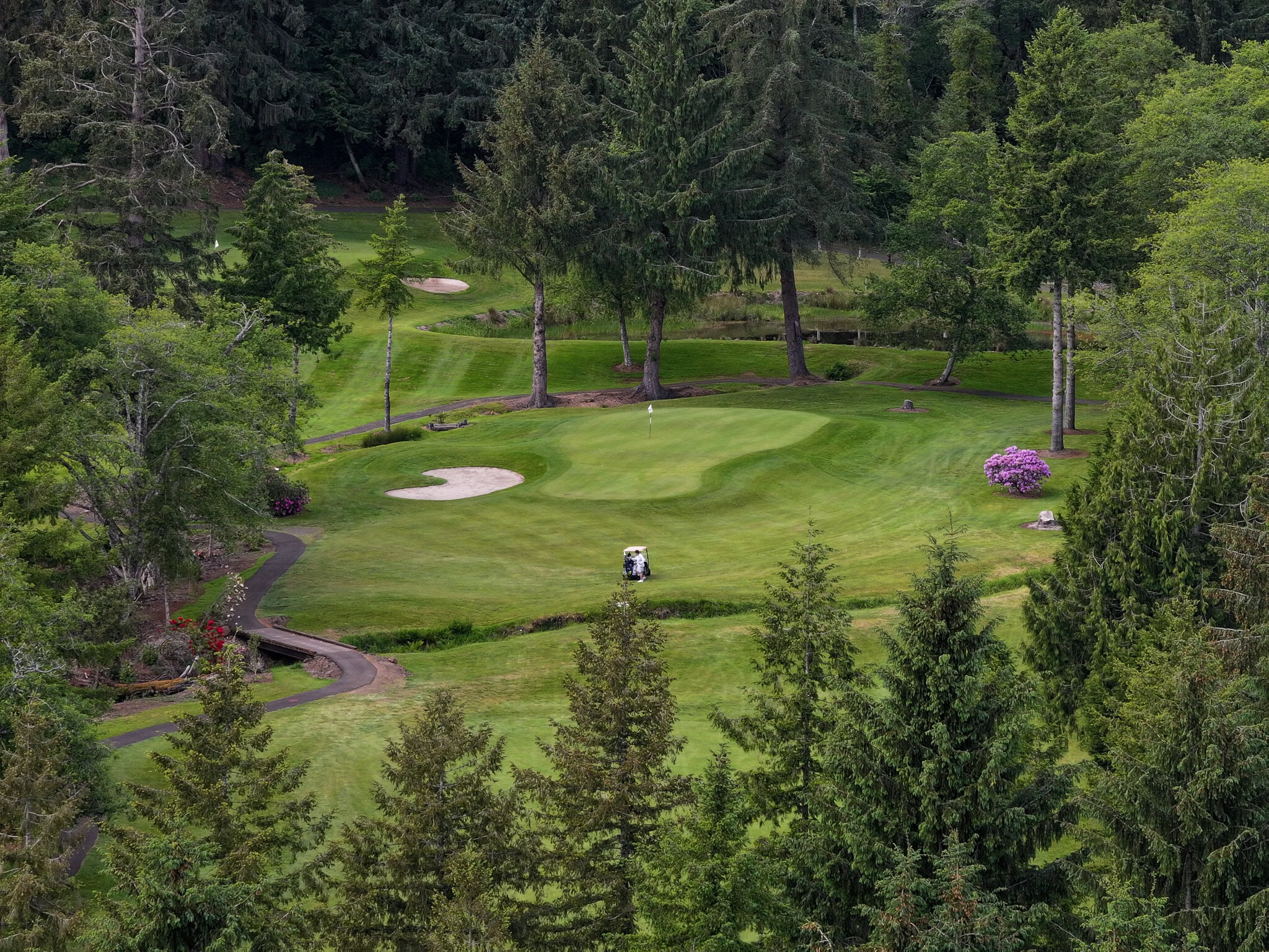 default | The Mook at Alderbrook