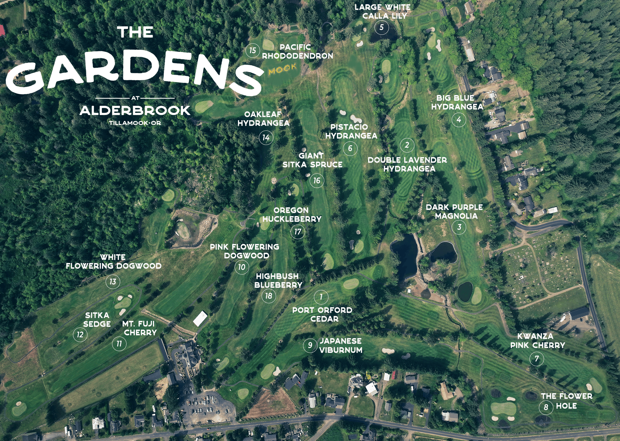 The Mook-Recovered gardens