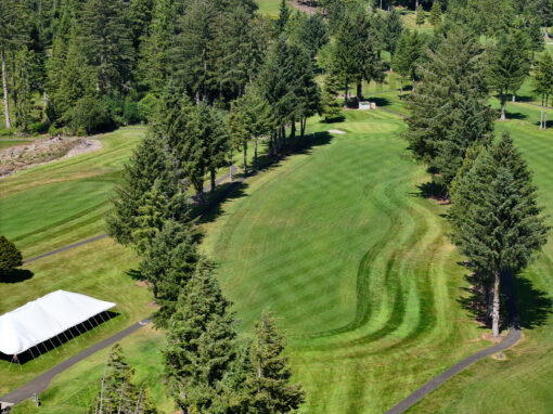 Hole 10 – Par 4 – HCP 16