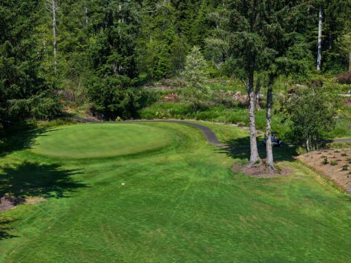 Hole 13 – Par 4/5 – HCP 2