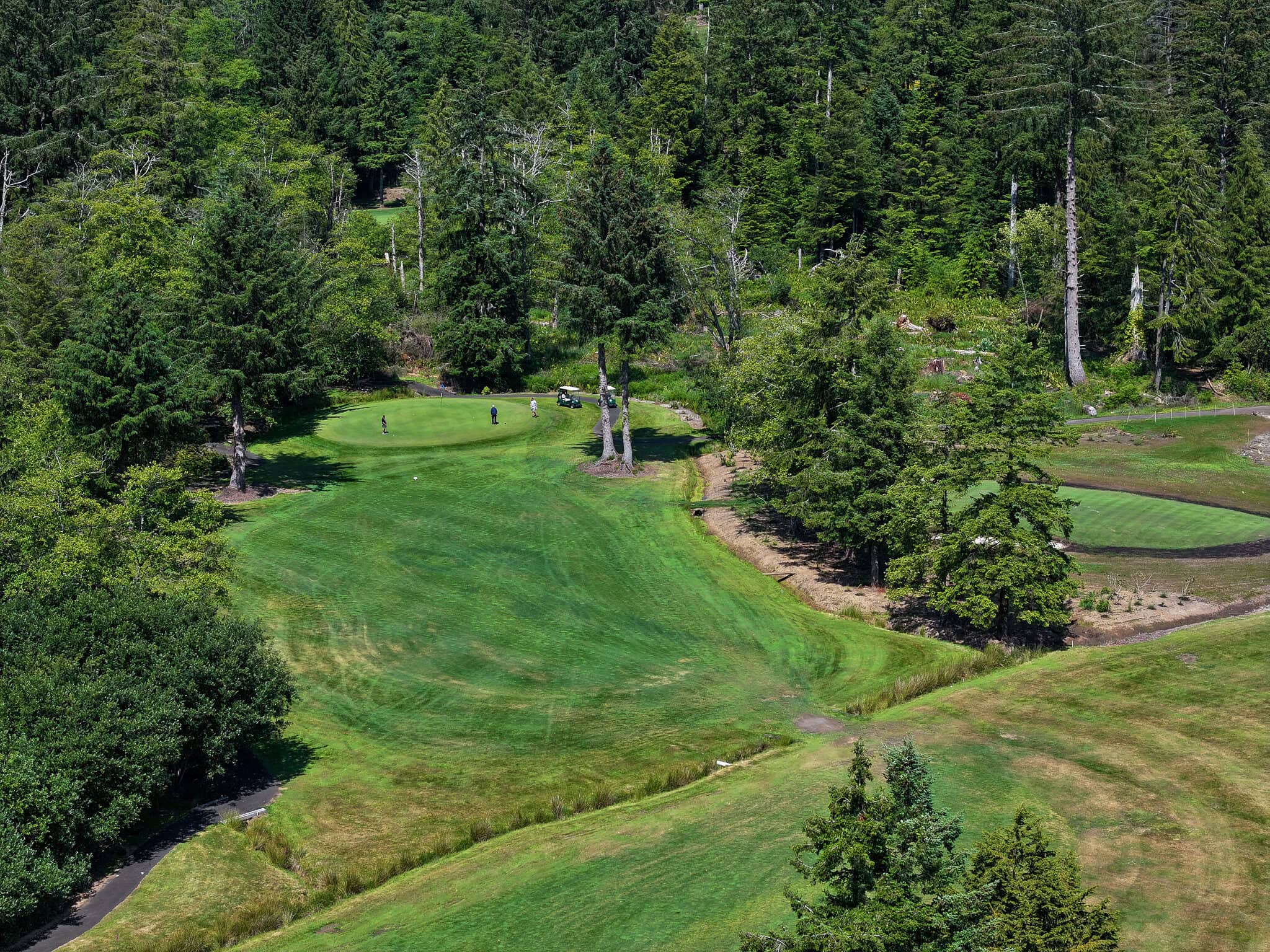 default | The Mook at Alderbrook