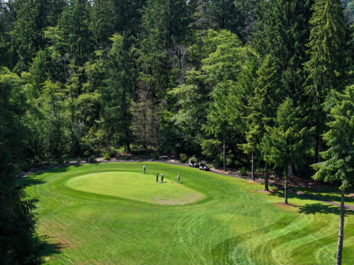 Hole 14 – Par 4 – HCP 12