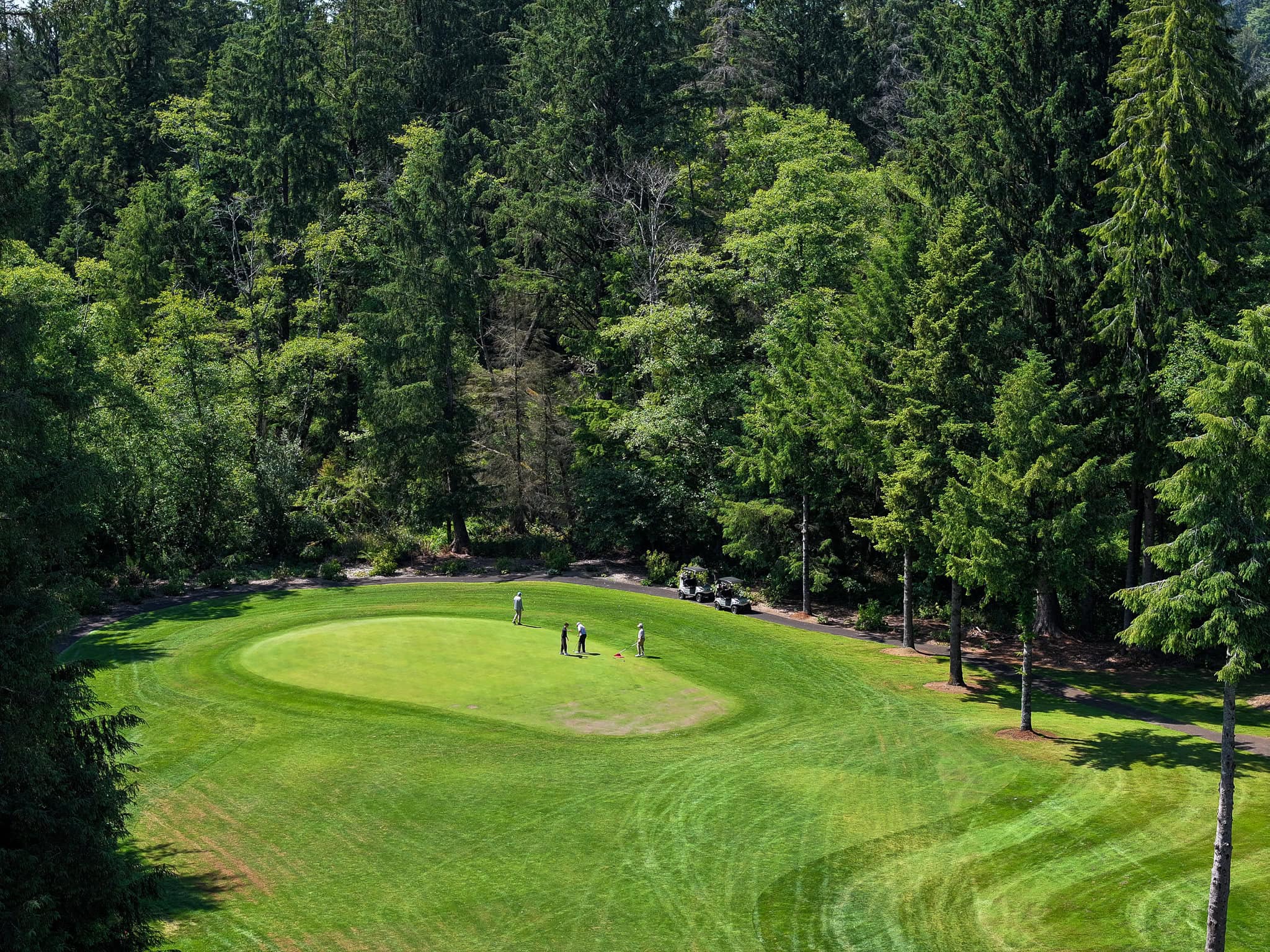 default | The Mook at Alderbrook