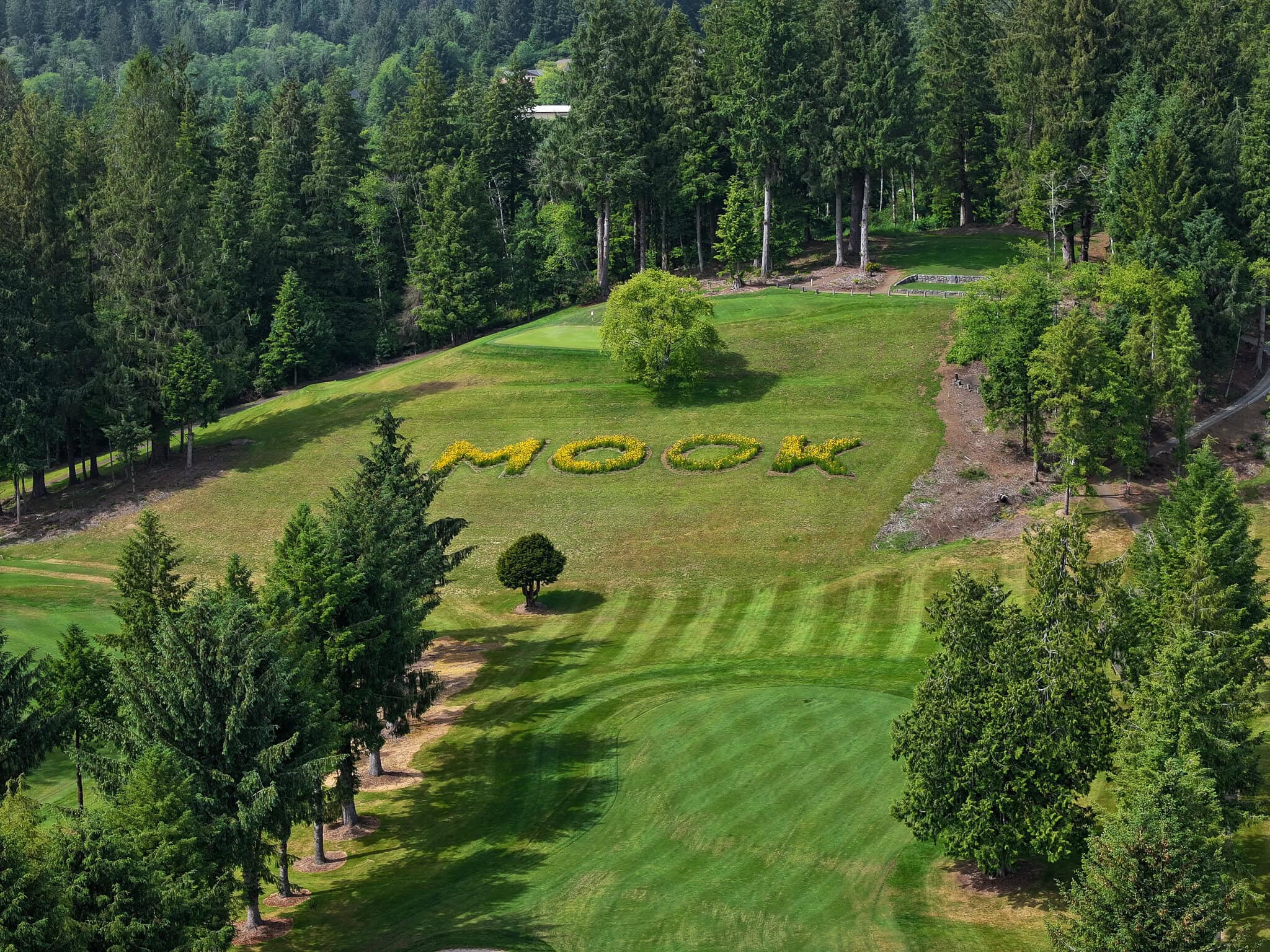 hole 15 Alderbrook Golf Course