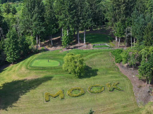 Hole 15 – Par 3 – HCP 10