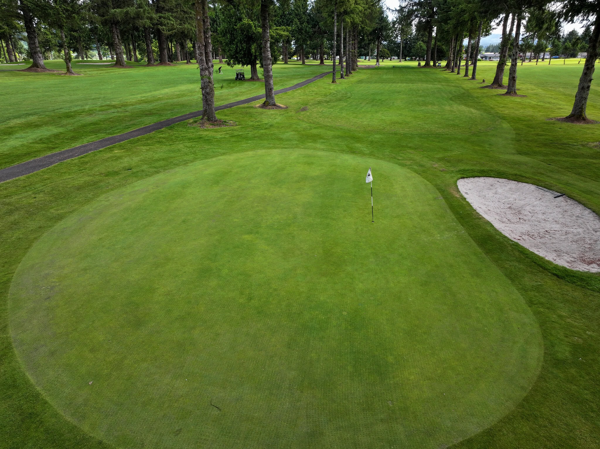 default | The Mook at Alderbrook