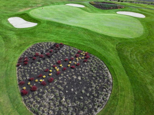 Hole 8 – Par 3 – HCP 13